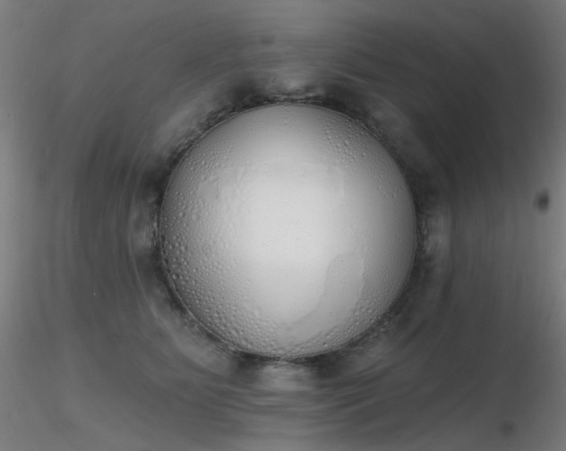 X0000116830515200912181437