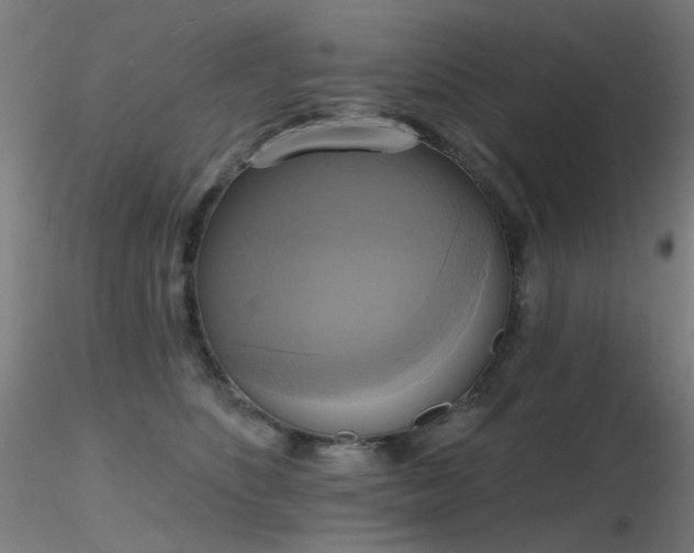 X0000116830516200912181437