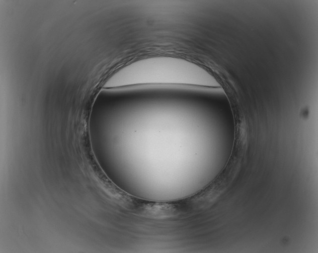 X0000116830517200912181437