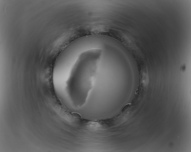 X0000116830519200912181437