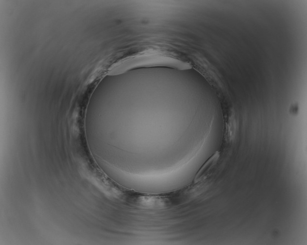 X0000116830520200912181437