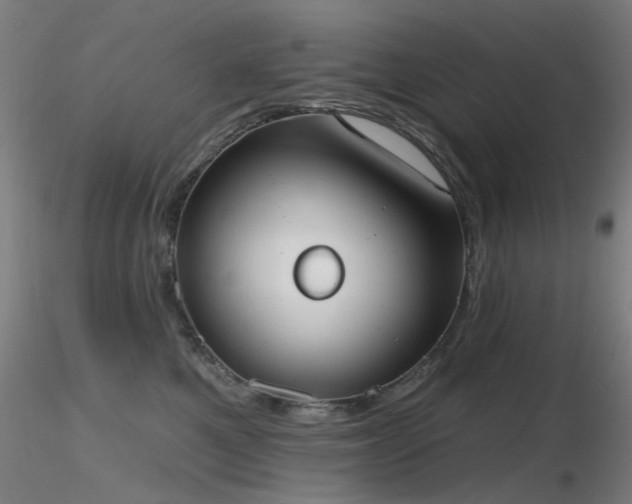 X0000116830521200912181437