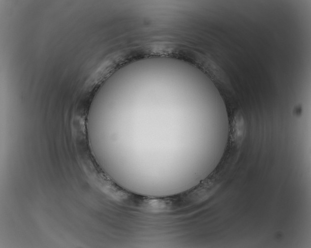 X0000116830522200912181437