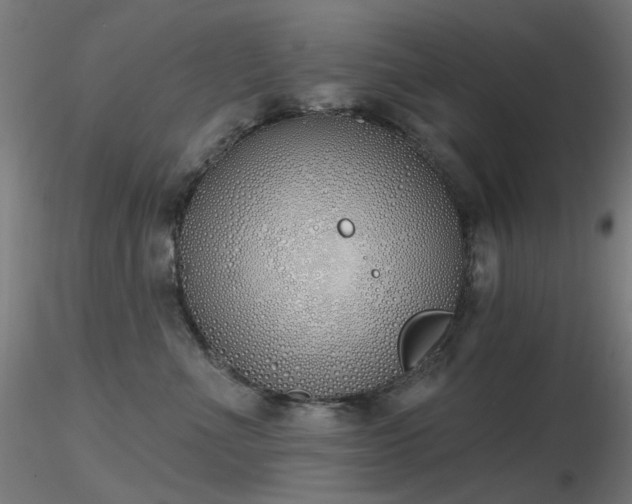 X0000116830523200912181437