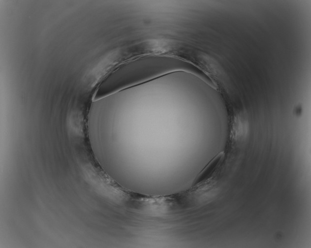 X0000116830524200912181437