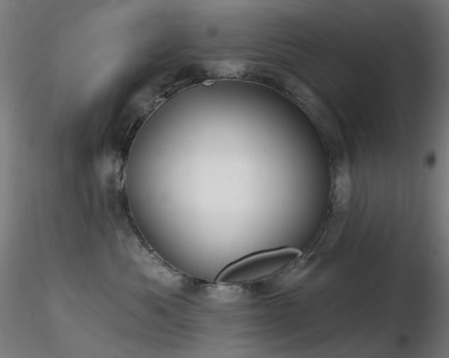 X0000116830525200912181437