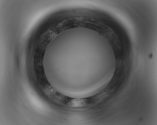 X0000116830526200912181437