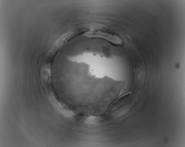 X0000116830527200912181437