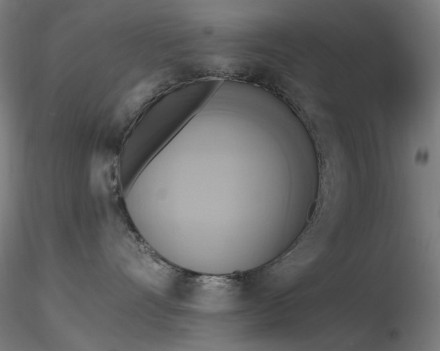 X0000116830528200912181437