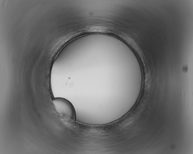 X0000116830529200912181436