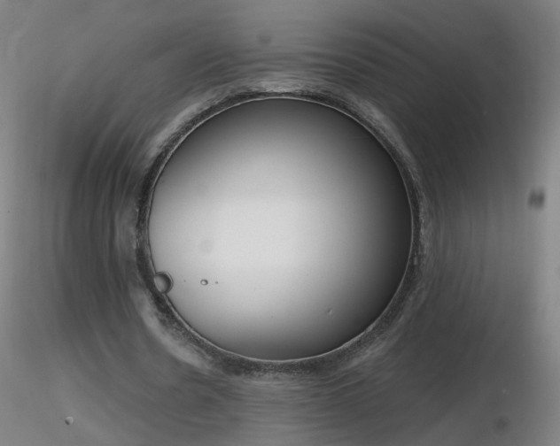 X0000116830530200912181436