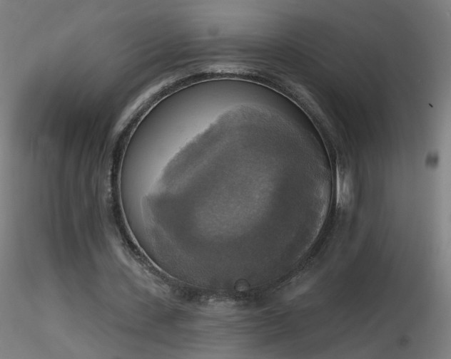 X0000116830531200912181436