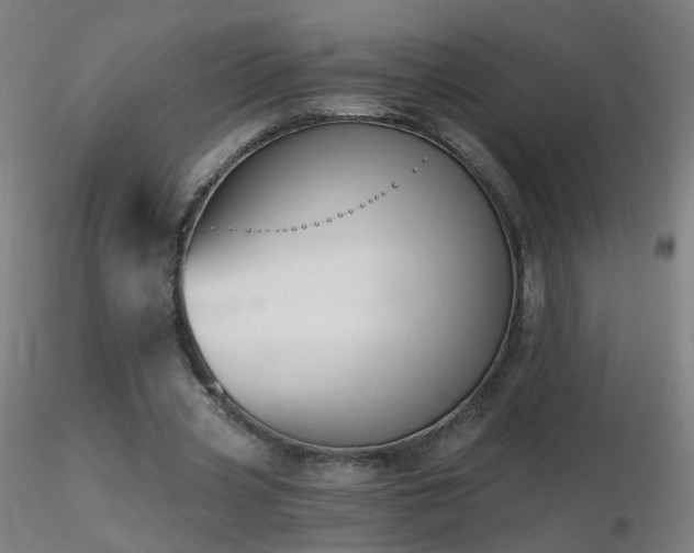 X0000116830533200912181436