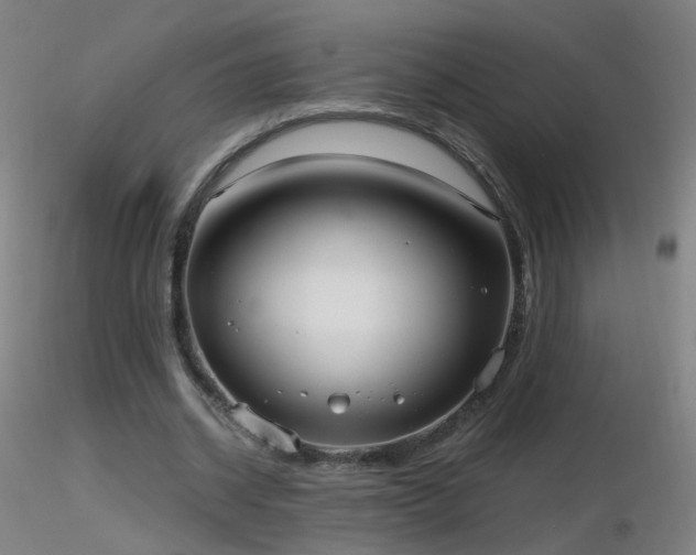 X0000116830534200912181436