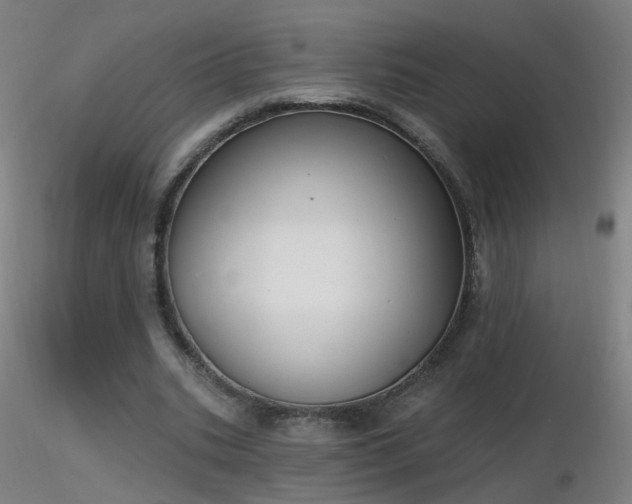 X0000116830535200912181436