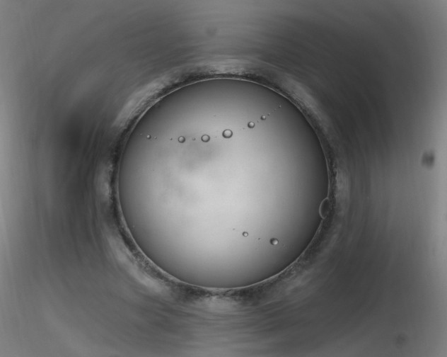 X0000116830537200912181436