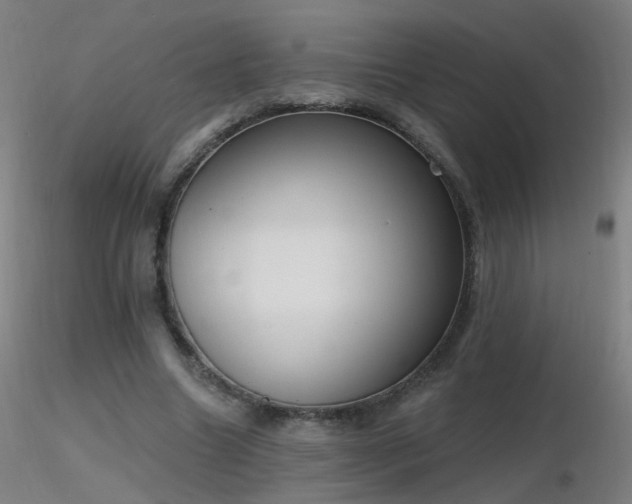 X0000116830538200912181436