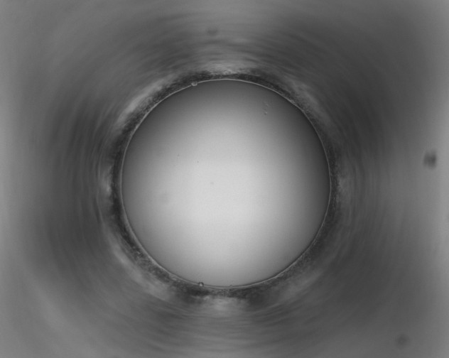 X0000116830539200912181436