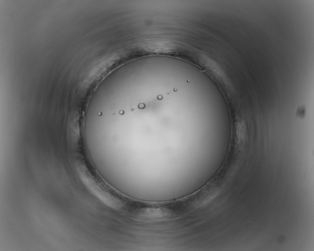 X0000116830541200912181436