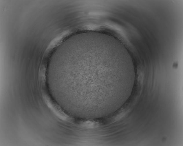 X0000116830542200912181436