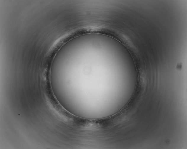 X0000116830543200912181436
