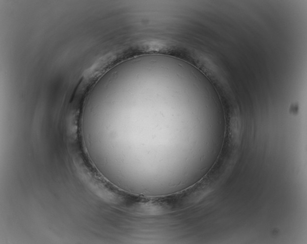 X0000116830545200912181436