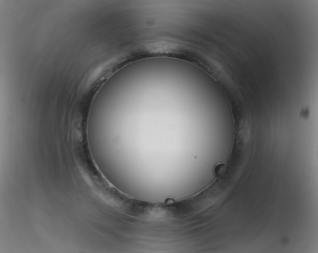 X0000116830547200912181436