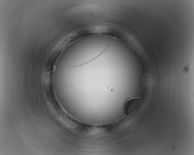 X0000116830549200912181436