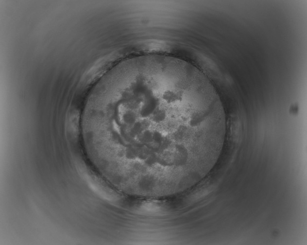 X0000116830550200912181436