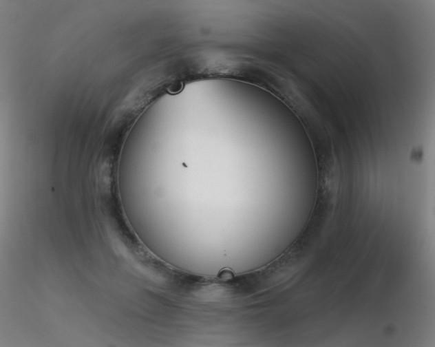 X0000116830551200912181436