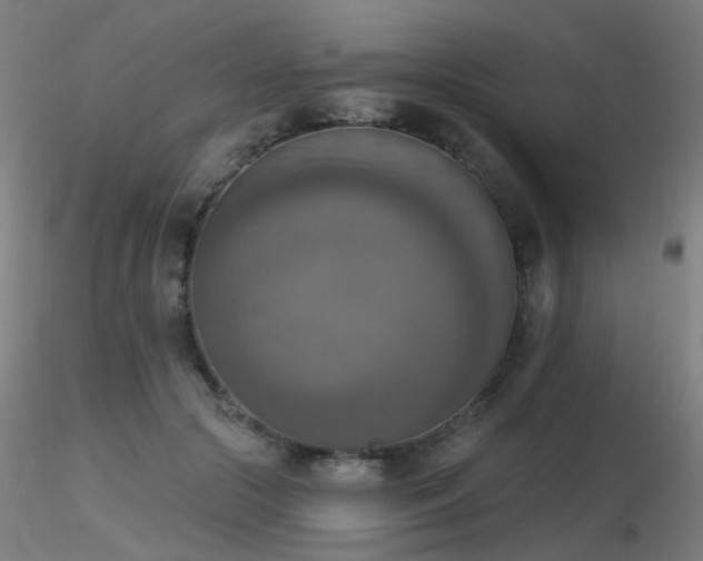 X0000116830553200912181436