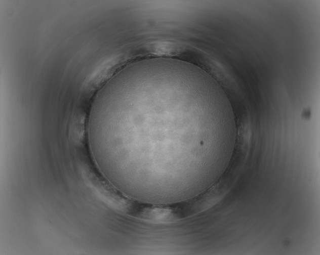 X0000116830554200912181436