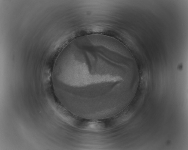 X0000116830555200912181436