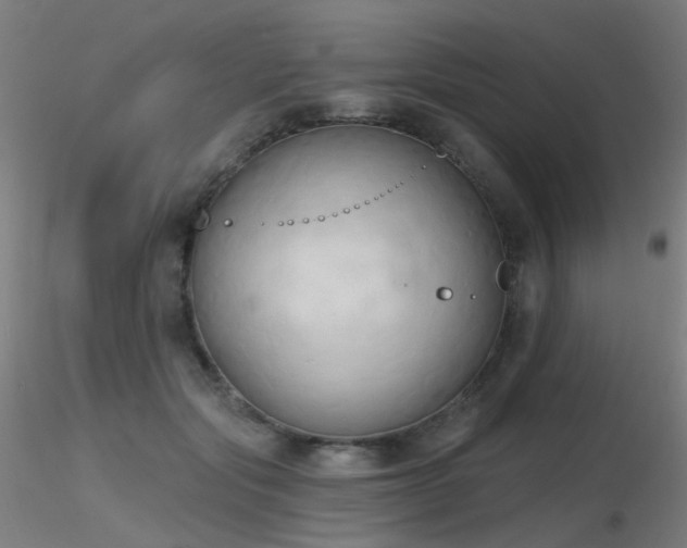 X0000116830557200912181436