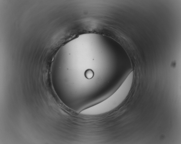 X0000116830558200912181436
