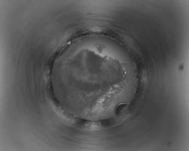 X0000116830559200912181436