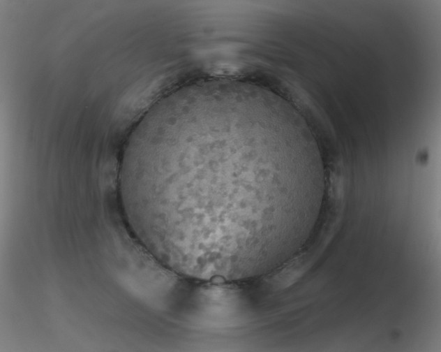X0000116830561200912181436