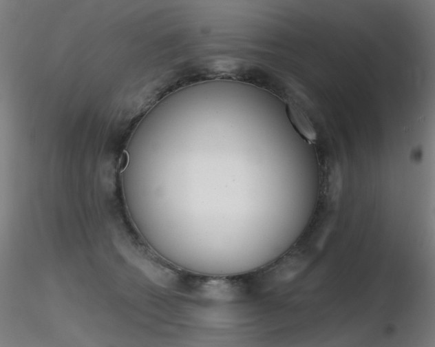 X0000116830562200912181436