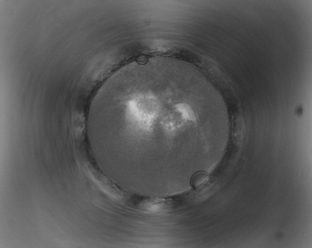 X0000116830563200912181436
