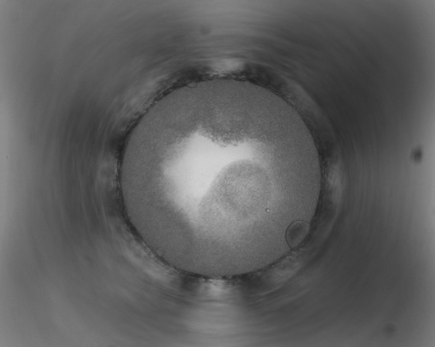 X0000116830565200912181436