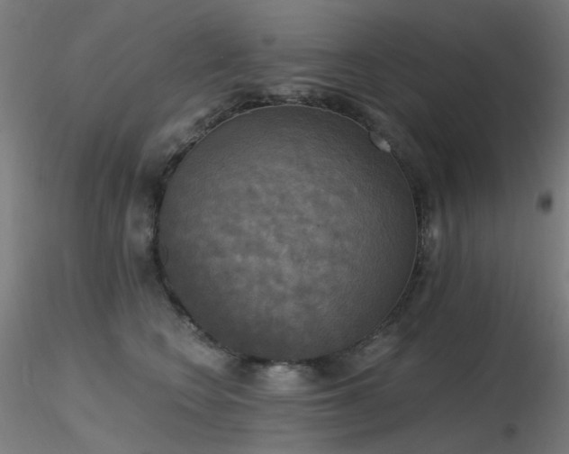 X0000116830566200912181436