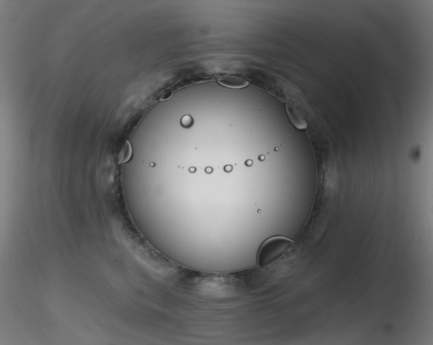 X0000116830567200912181436