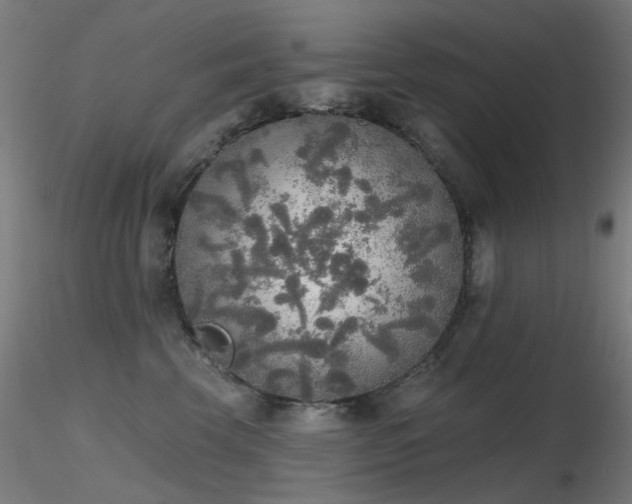 X0000116830569200912181437
