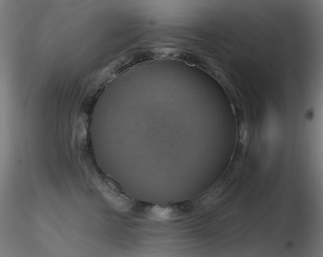 X0000116830570200912181437