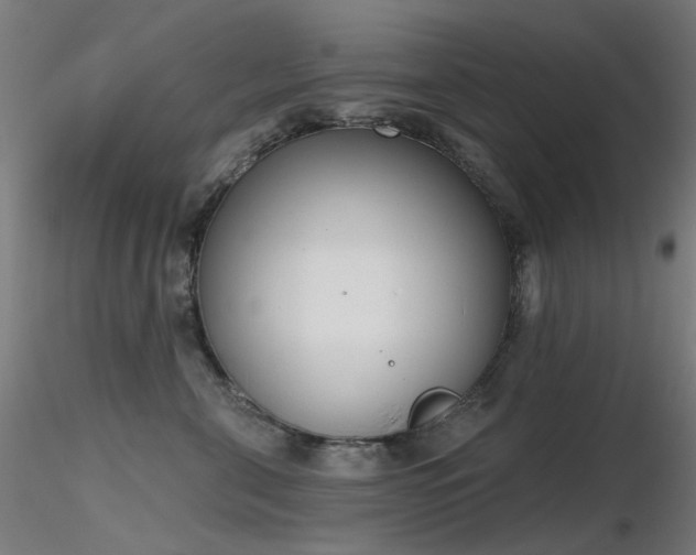 X0000116830571200912181437
