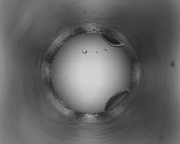 X0000116830573200912181437