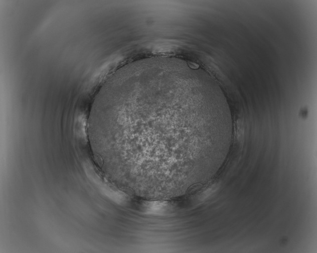 X0000116830575200912181437