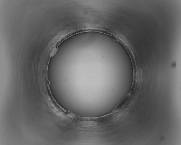 X0000116830577200912181436