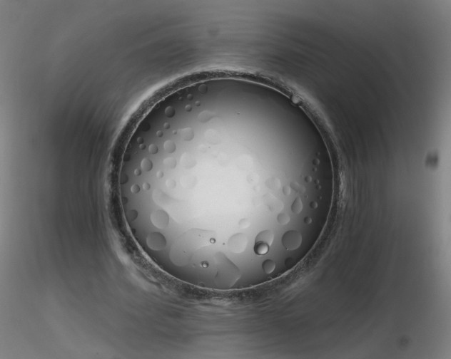 X0000116830580200912181436