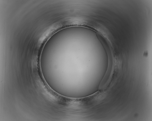 X0000116830581200912181436